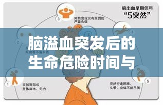 脑溢血突发后的生命危险时间与应对方法