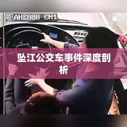 坠江公交车事件深度剖析