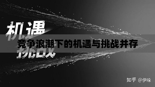 竞争浪潮下的机遇与挑战并存