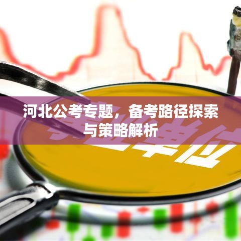 河北公考专题，备考路径探索与策略解析