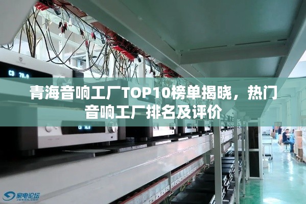 青海音响工厂TOP10榜单揭晓，热门音响工厂排名及评价