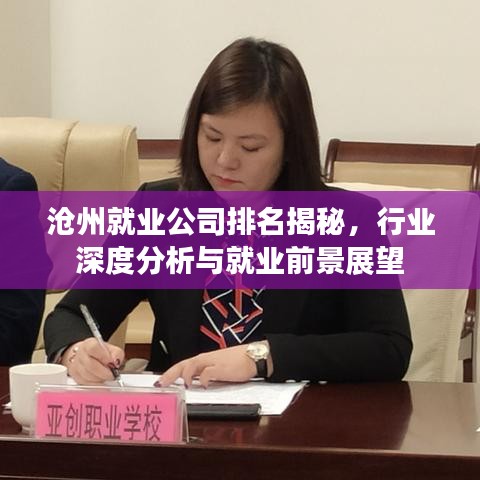 沧州就业公司排名揭秘，行业深度分析与就业前景展望