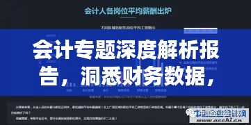 会计专题深度解析报告，洞悉财务数据，揭秘管理奥秘