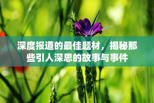 深度报道的最佳题材，揭秘那些引人深思的故事与事件