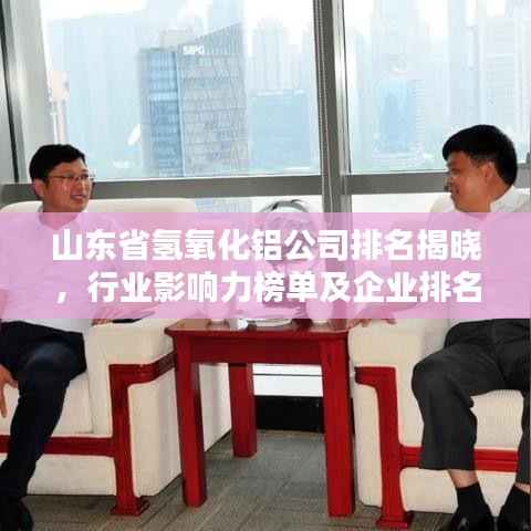 山东省氢氧化铝公司排名揭晓，行业影响力榜单及企业排名概览
