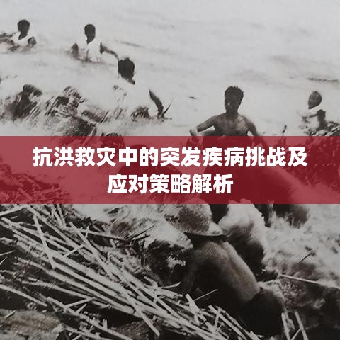 抗洪救灾中的突发疾病挑战及应对策略解析