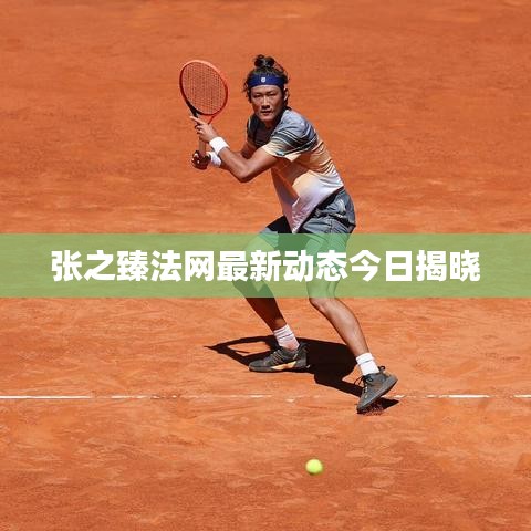 张之臻法网最新动态今日揭晓