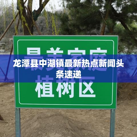 龙潭县中湖镇最新热点新闻头条速递