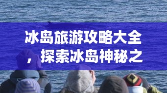 冰岛旅游攻略大全，探索冰岛神秘之旅