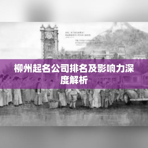 柳州起名公司排名及影响力深度解析