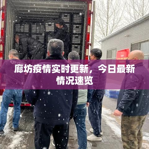 廊坊疫情实时更新，今日最新情况速览