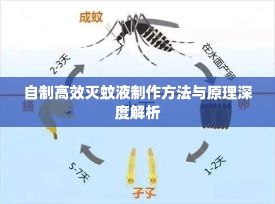 自制高效灭蚊液制作方法与原理深度解析