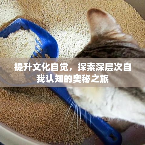 提升文化自觉，探索深层次自我认知的奥秘之旅