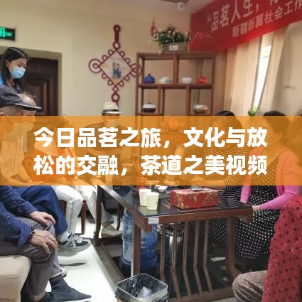今日品茗之旅，文化与放松的交融，茶道之美视频分享