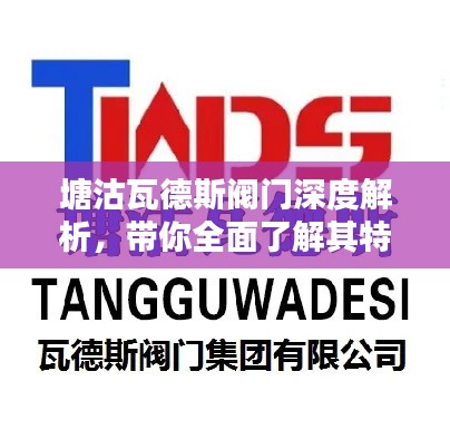塘沽瓦德斯阀门深度解析，带你全面了解其特点与应用