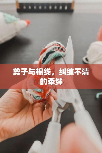 剪子与棉线，纠缠不清的牵绊