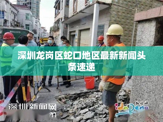 深圳龙岗区蛇口地区最新新闻头条速递