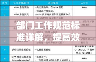 部门工作规范标准详解，提高效率与保障质量的操作指南