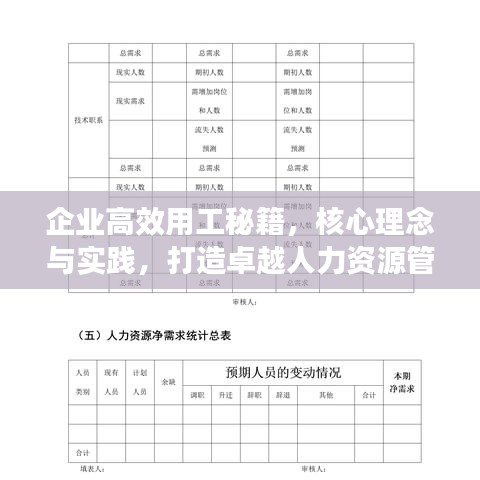 企业高效用工秘籍，核心理念与实践，打造卓越人力资源管理