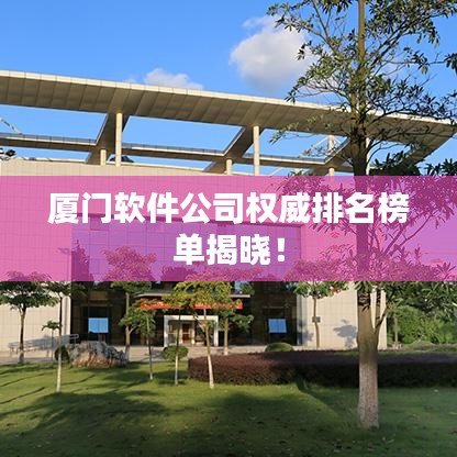 厦门软件公司权威排名榜单揭晓！