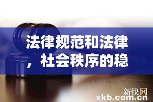 法律规范和法律，社会秩序的稳固基石