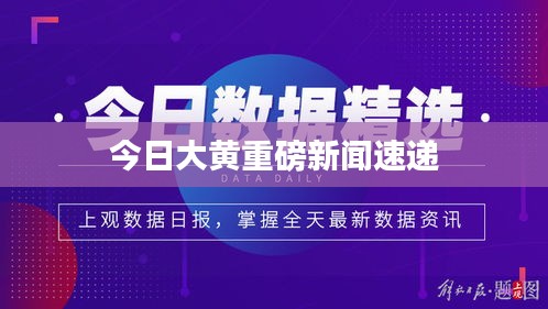 今日大黄重磅新闻速递