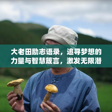大老田励志语录，追寻梦想的力量与智慧箴言，激发无限潜能！