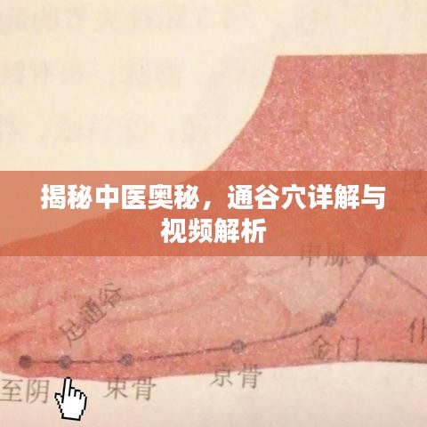 揭秘中医奥秘，通谷穴详解与视频解析