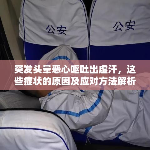 突发头晕恶心呕吐出虚汗，这些症状的原因及应对方法解析