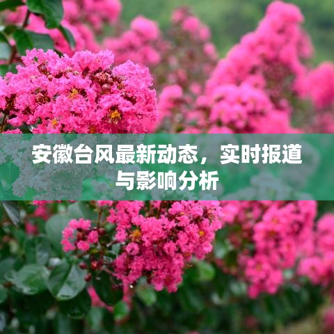 安徽台风最新动态，实时报道与影响分析