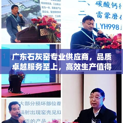 广东石灰窑专业供应商，品质卓越服务至上，高效生产值得信赖