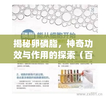 揭秘卵磷脂，神奇功效与作用的探索（百度收录）