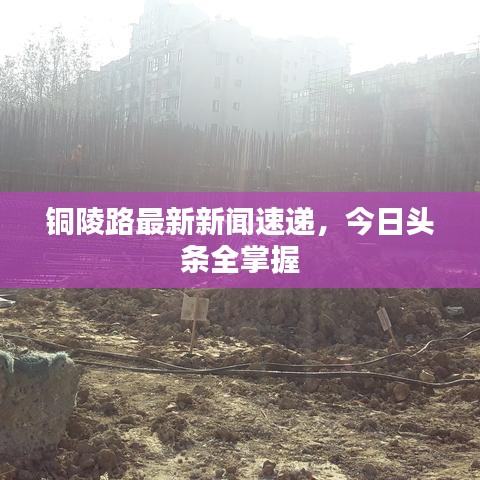 铜陵路最新新闻速递，今日头条全掌握