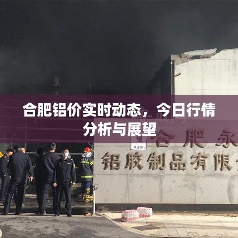 合肥铝价实时动态，今日行情分析与展望