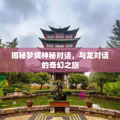 揭秘梦境神秘对话，与龙对话的奇幻之旅