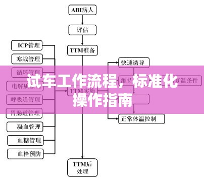 试车工作流程，标准化操作指南