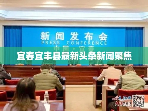 宜春宜丰县最新头条新闻聚焦