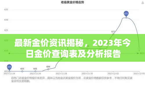 最新金价资讯揭秘，2023年今日金价查询表及分析报告