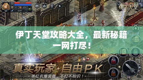 伊丁天堂攻略大全，最新秘籍一网打尽！
