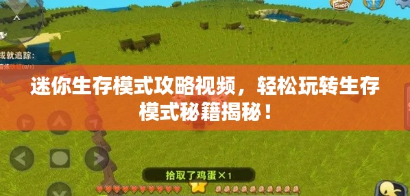迷你生存模式攻略视频，轻松玩转生存模式秘籍揭秘！