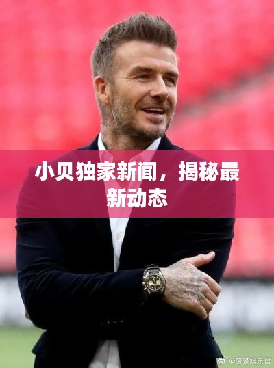 小贝独家新闻，揭秘最新动态