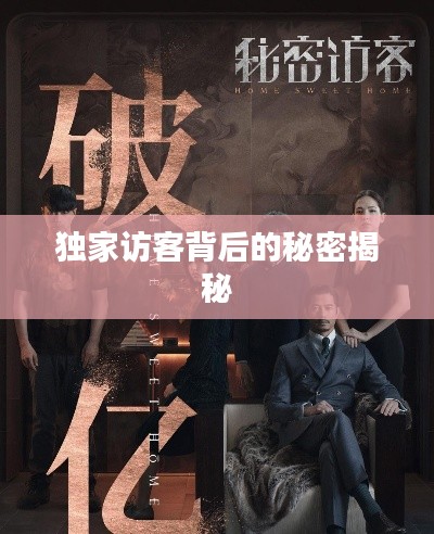 独家访客背后的秘密揭秘