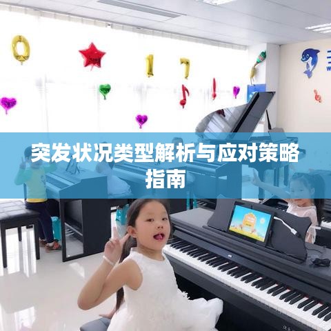 突发状况类型解析与应对策略指南