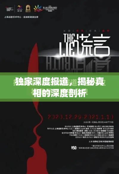 独家深度报道，揭秘真相的深度剖析