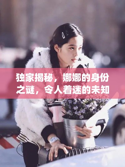 独家揭秘，娜娜的身份之谜，令人着迷的未知之旅