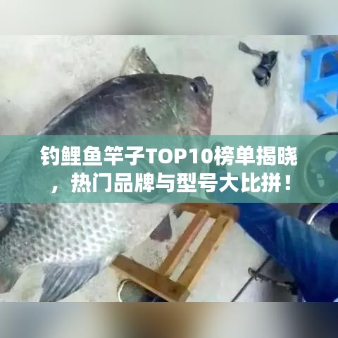 钓鲤鱼竿子TOP10榜单揭晓，热门品牌与型号大比拼！