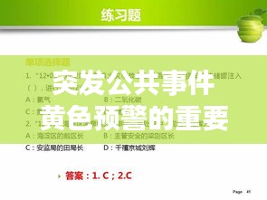 突发公共事件黄色预警的重要性与应对策略解析