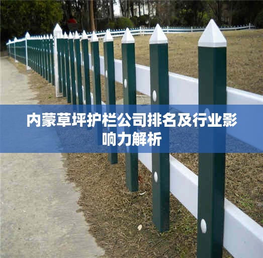 内蒙草坪护栏公司排名及行业影响力解析