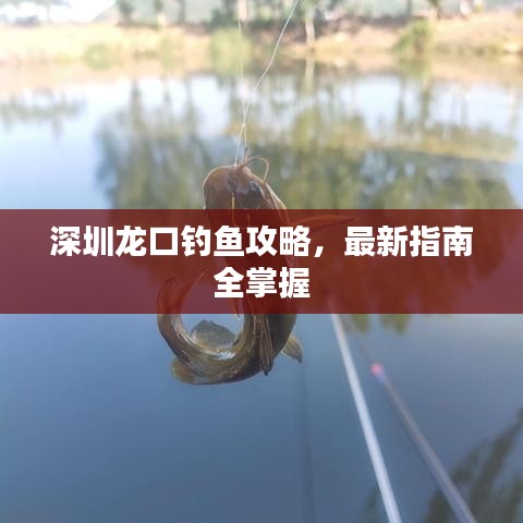 深圳龙口钓鱼攻略，最新指南全掌握