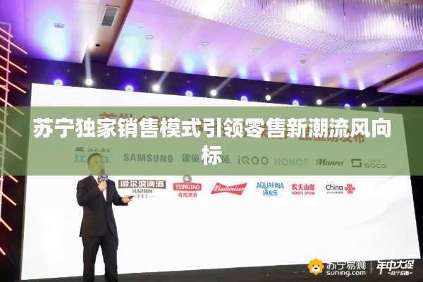 苏宁独家销售模式引领零售新潮流风向标